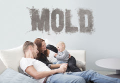 Mold Solutions